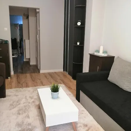 Apartament Mieszkanie ギジツコ